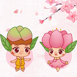 天津運(yùn)河桃花節(jié)IP設(shè)計(jì)