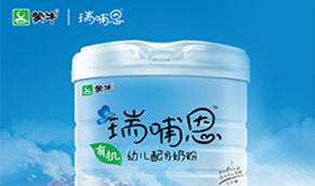 品牌營(yíng)銷策劃